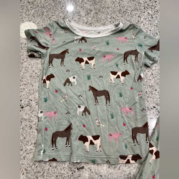 Bamboo Pajamas 2T - Picture 3 of 7